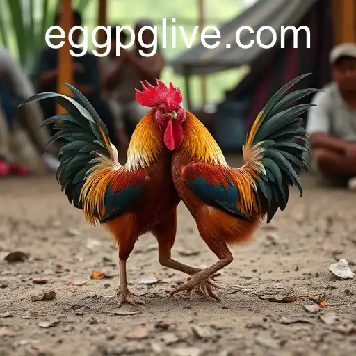 Exploring the Tradition and Evolution of Sabong Games